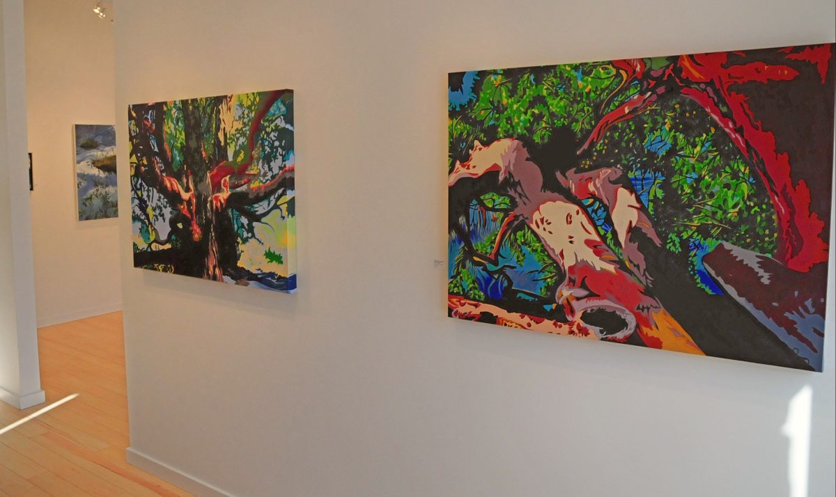 paintings by Brandy Saturley at Edge Gallery Canmore Alberta