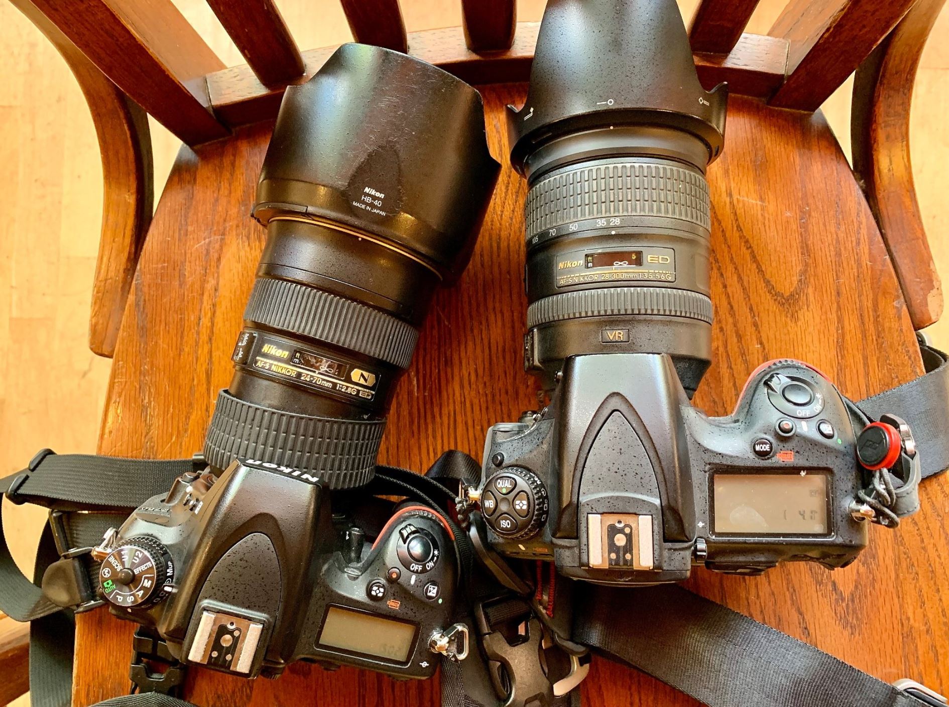 Duelling Nikons - D750 and D810