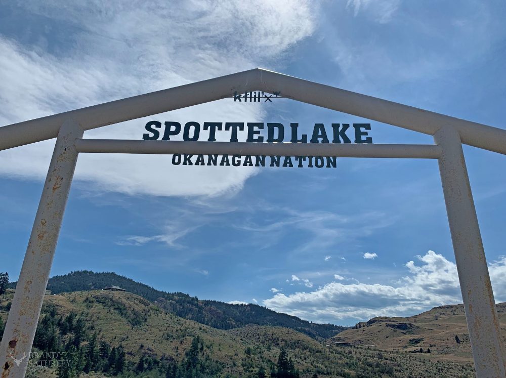 Spotted Lake Osoyoos BC