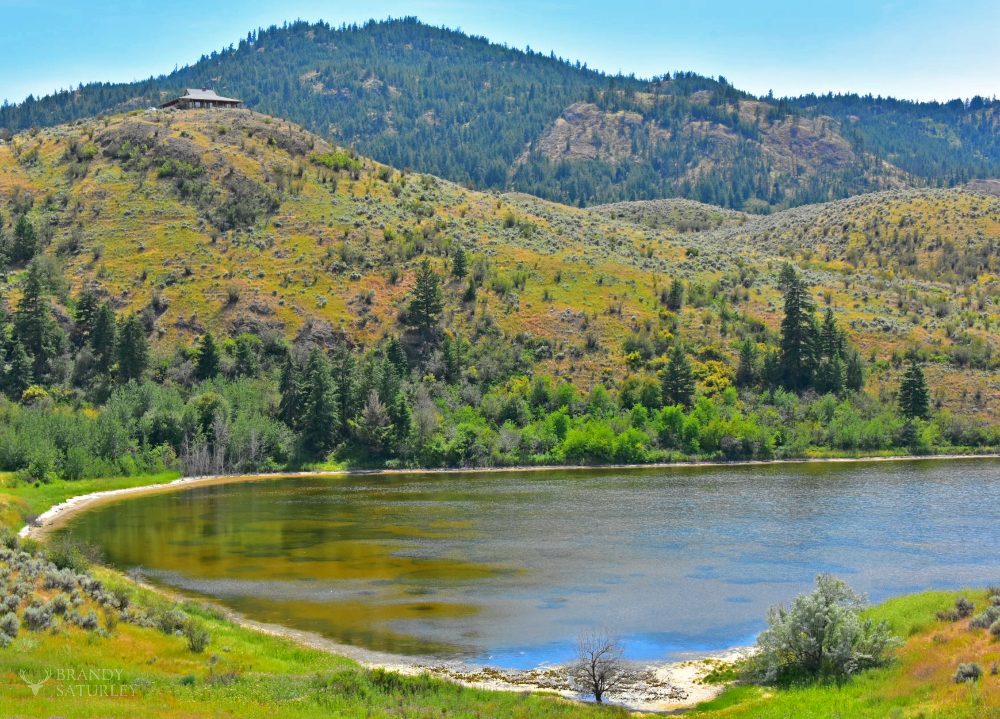 Spotted Lake Osoyoos BC July 2020