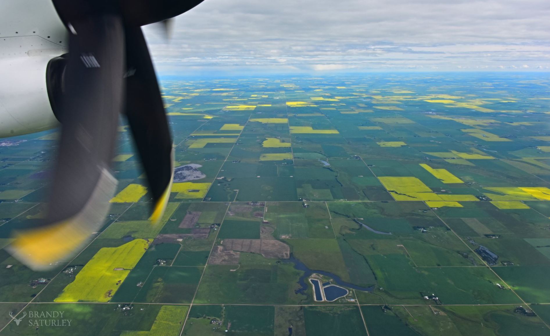 westjet flight over prairie fields of canola