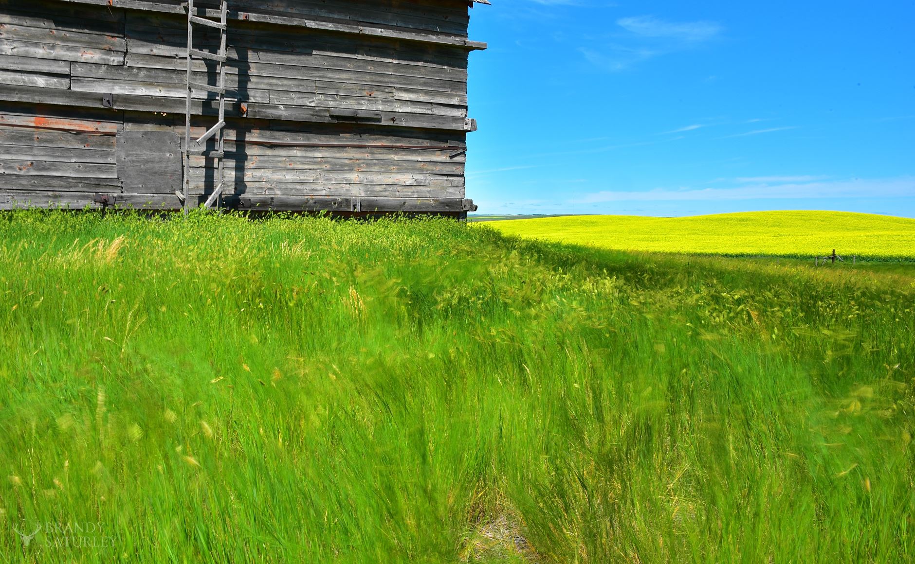 Saskatchewan barn and fields