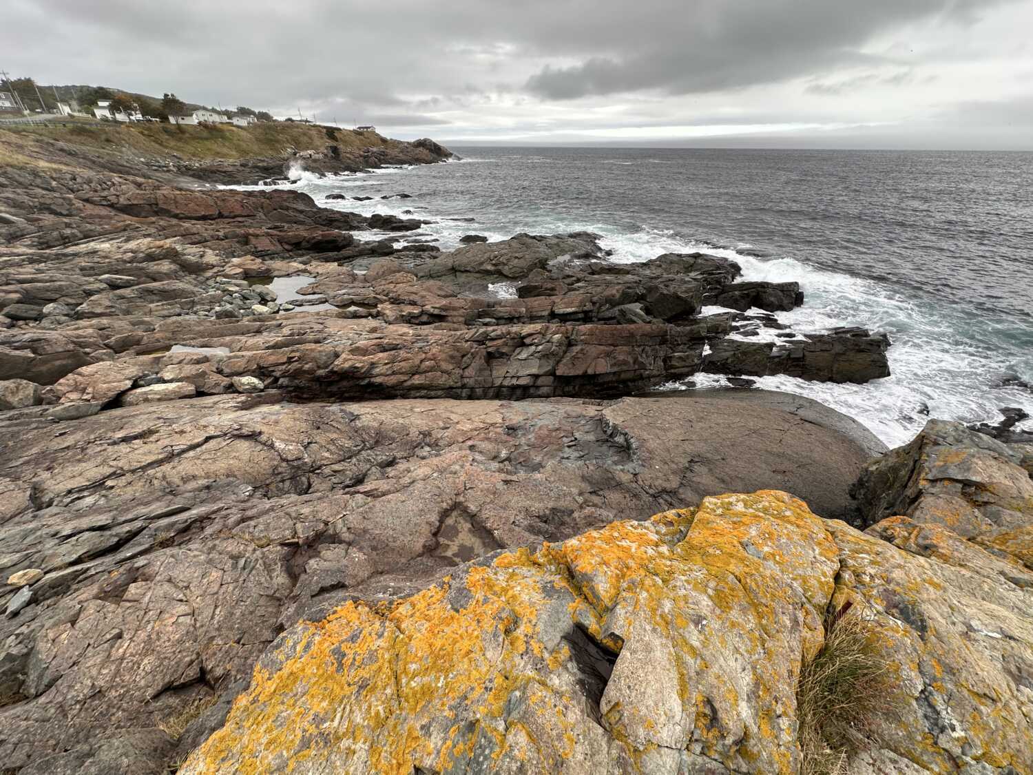 Newfoundland Impressions
