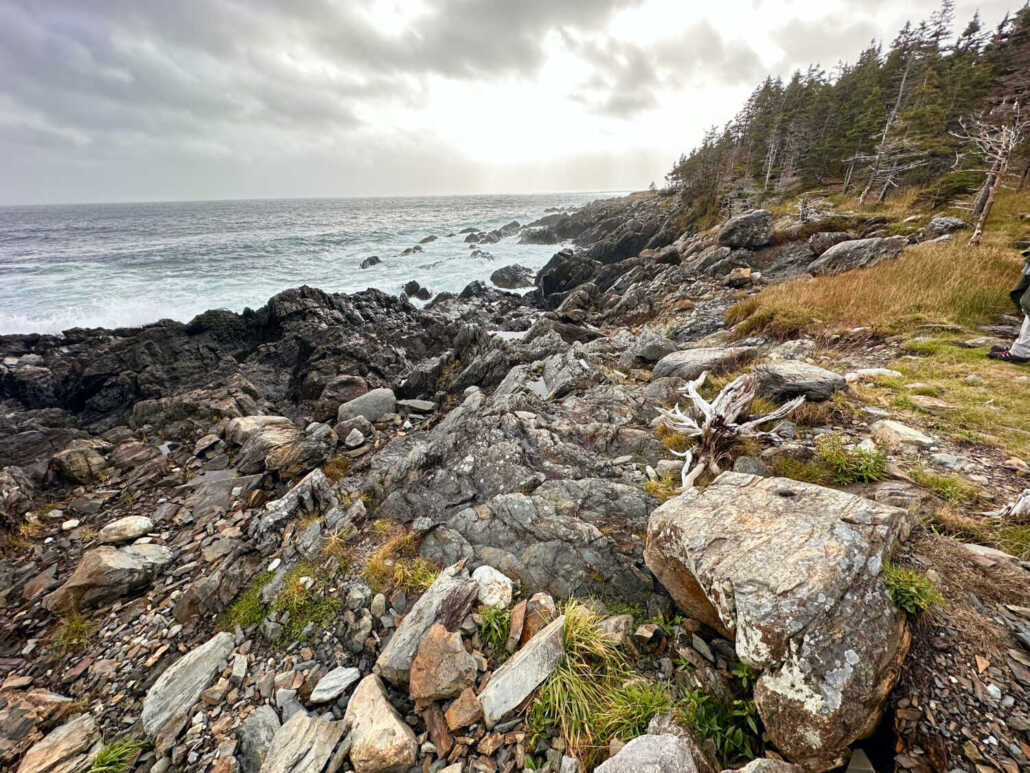 making art in Newfoundland