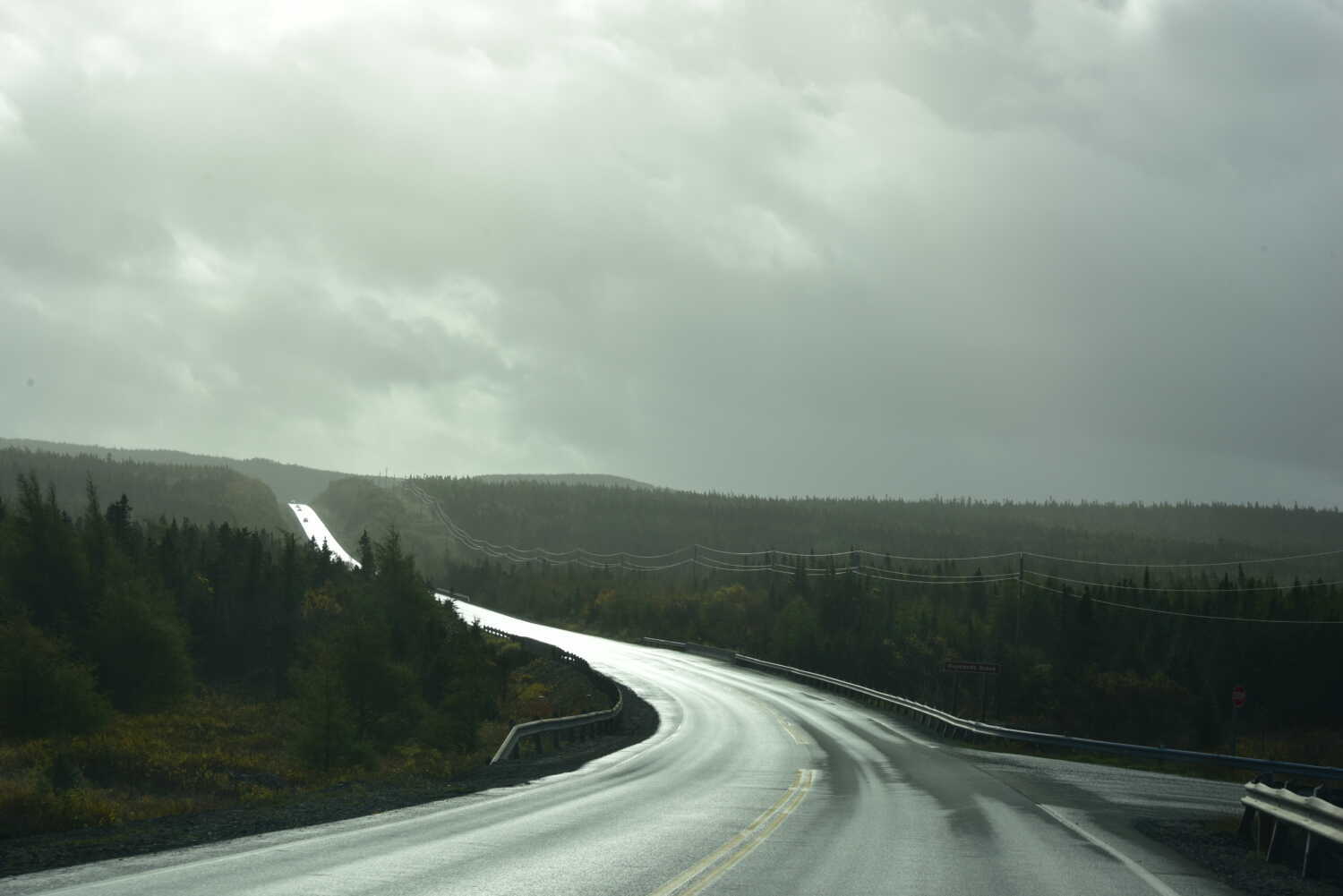 making art in Newfoundland