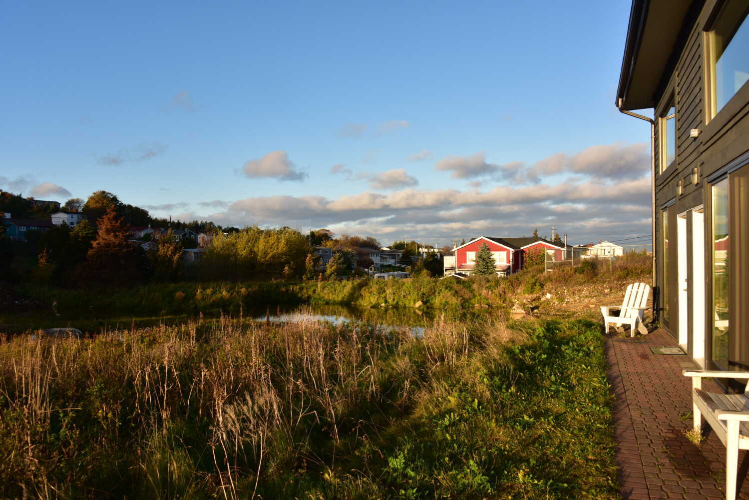 A Newfoundland Residency