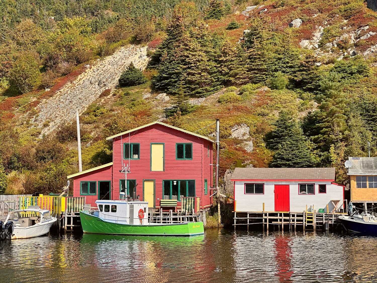 Painting Quidi Vidi Newfoundland