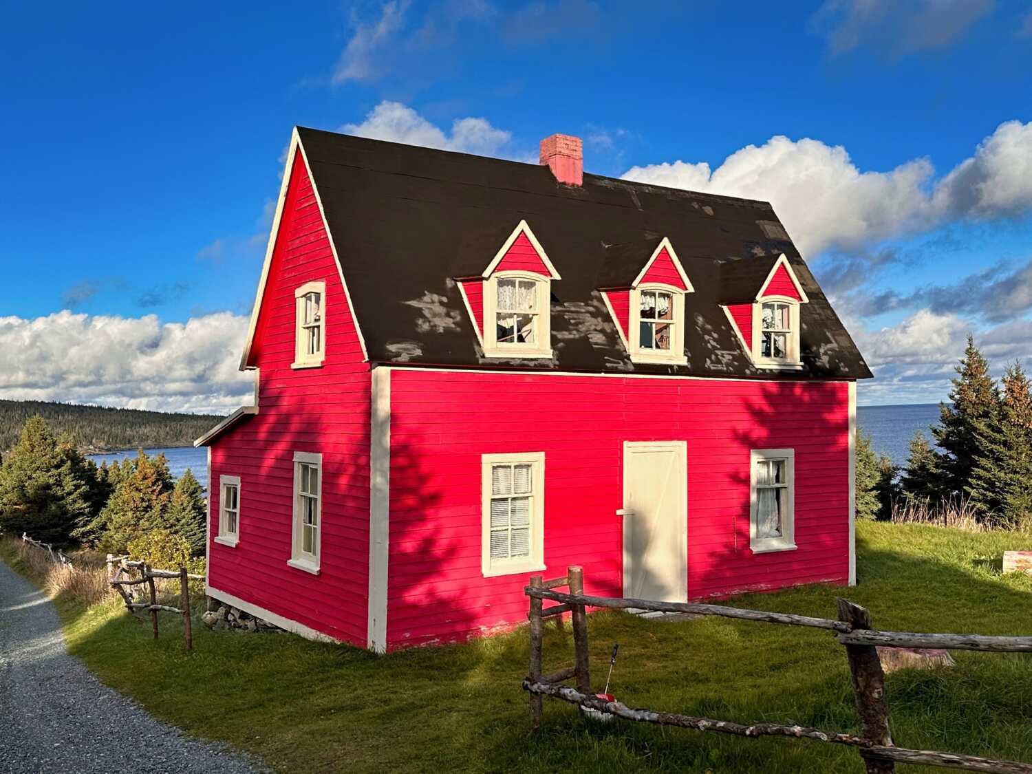 Painting Newfoundland Vibrant Reds