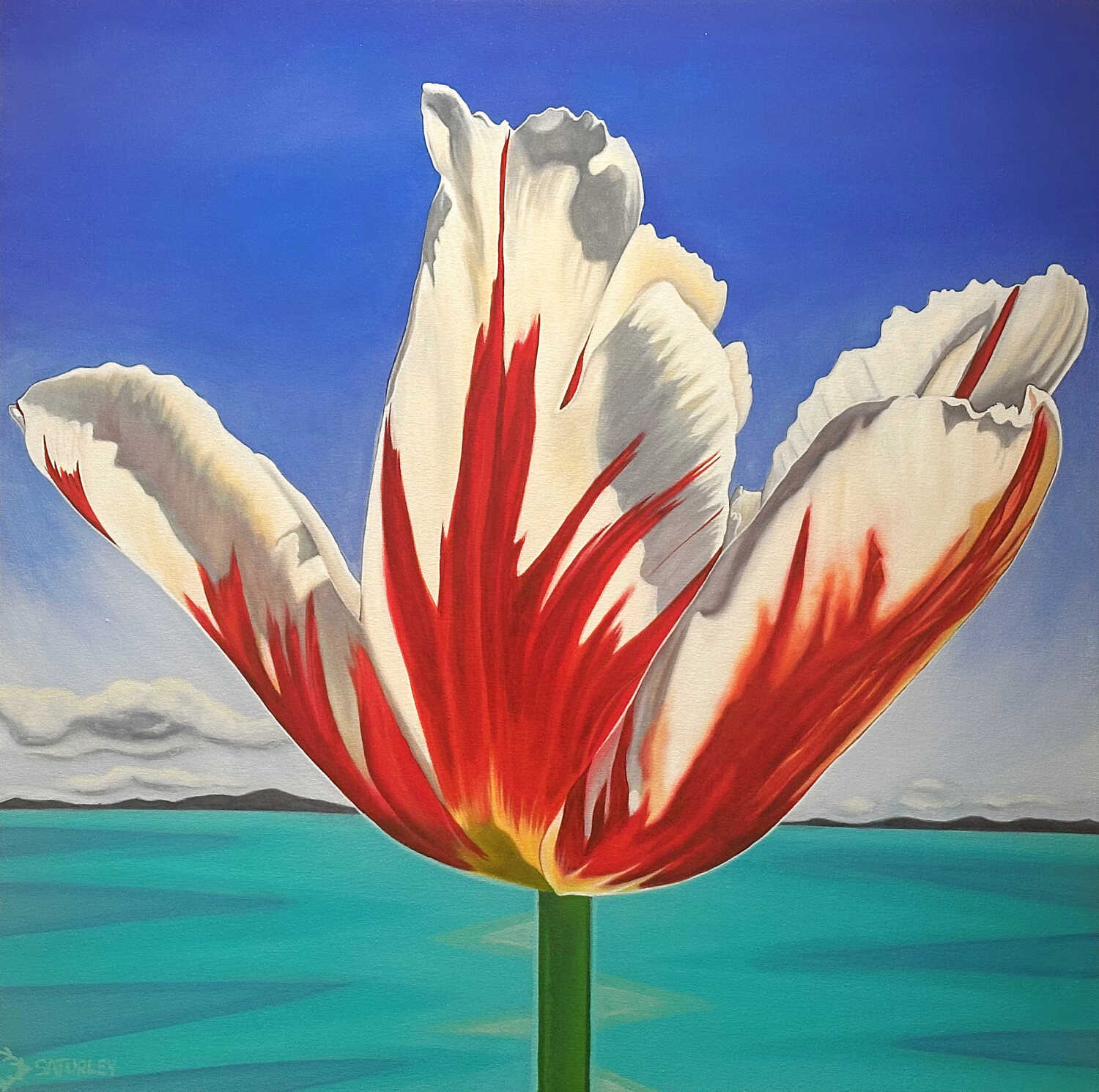 Canadian Art Galleries Events