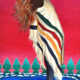 Hudson's Bay Blanket Paintings