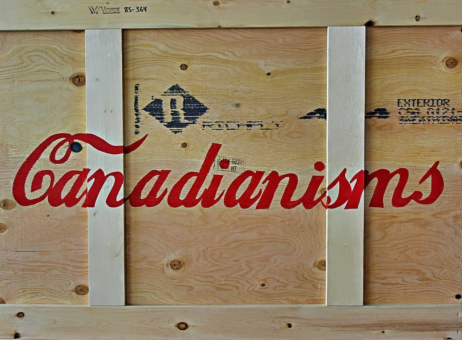 Canadian Identity in Contemporary Art