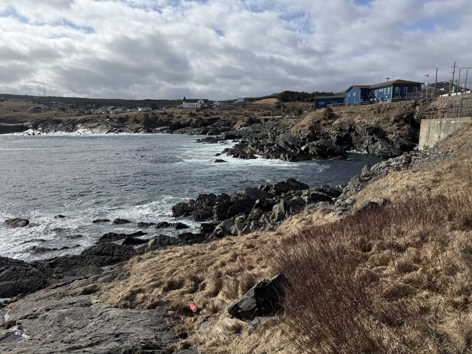 Newfoundland Impressions