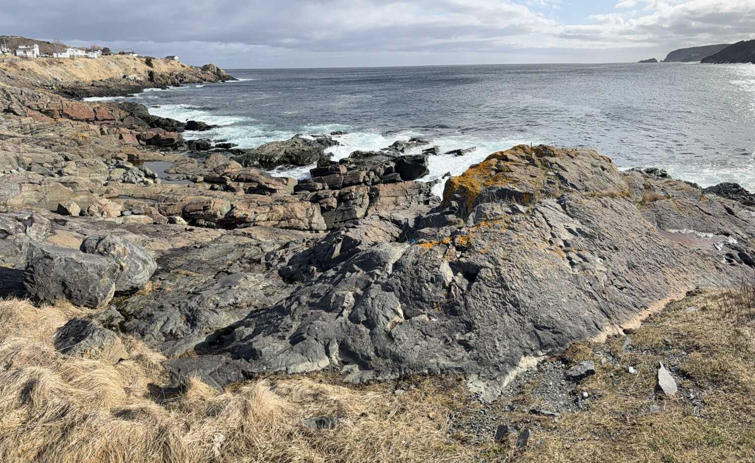 Newfoundland Impressions
