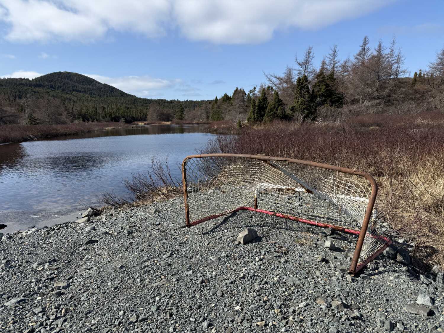 Newfoundland Impressions