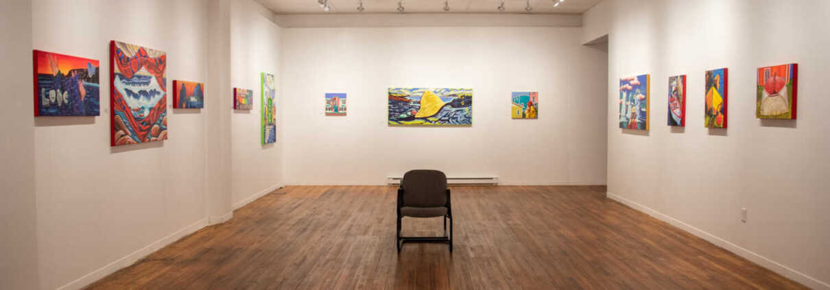 art opening in Newfoundland