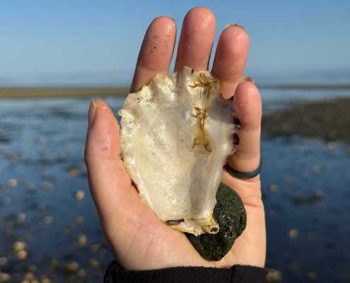 Studio Move Parksville