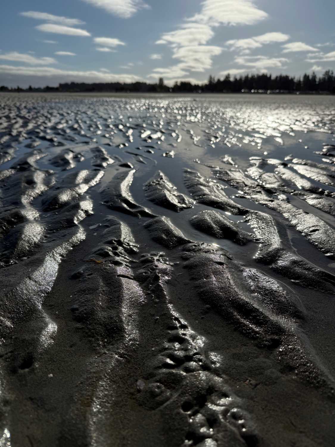 Studio Move to Parksville