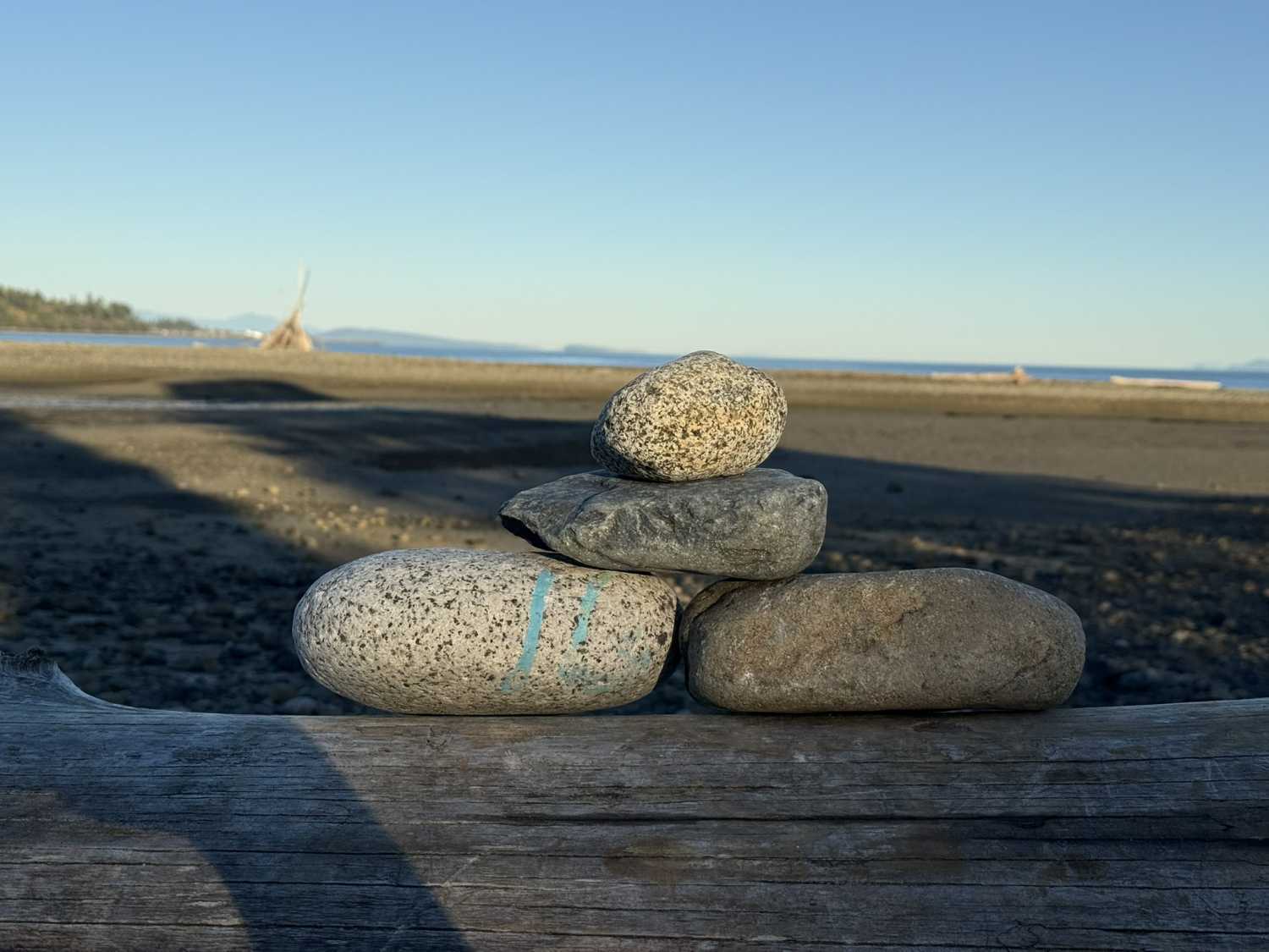 West Coast Still Life