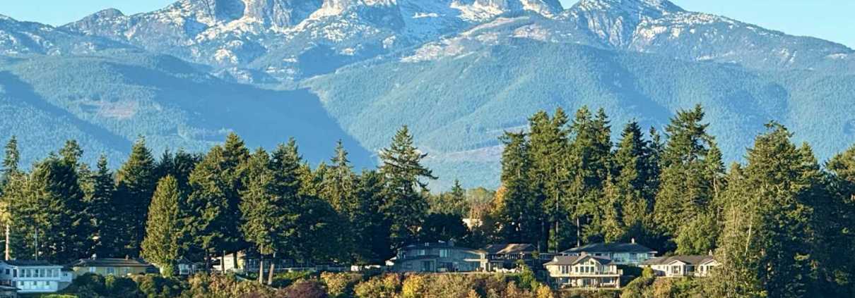 A Spirit Bear Painting