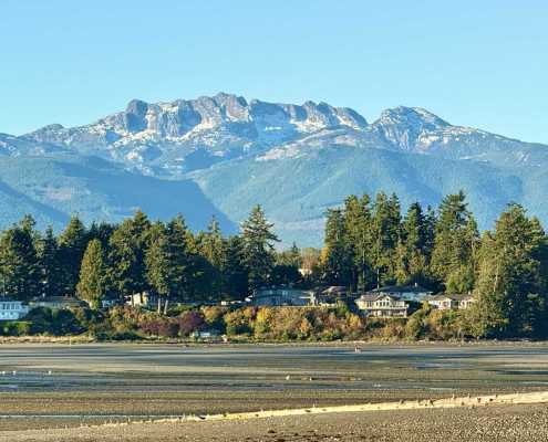 A Spirit Bear Painting