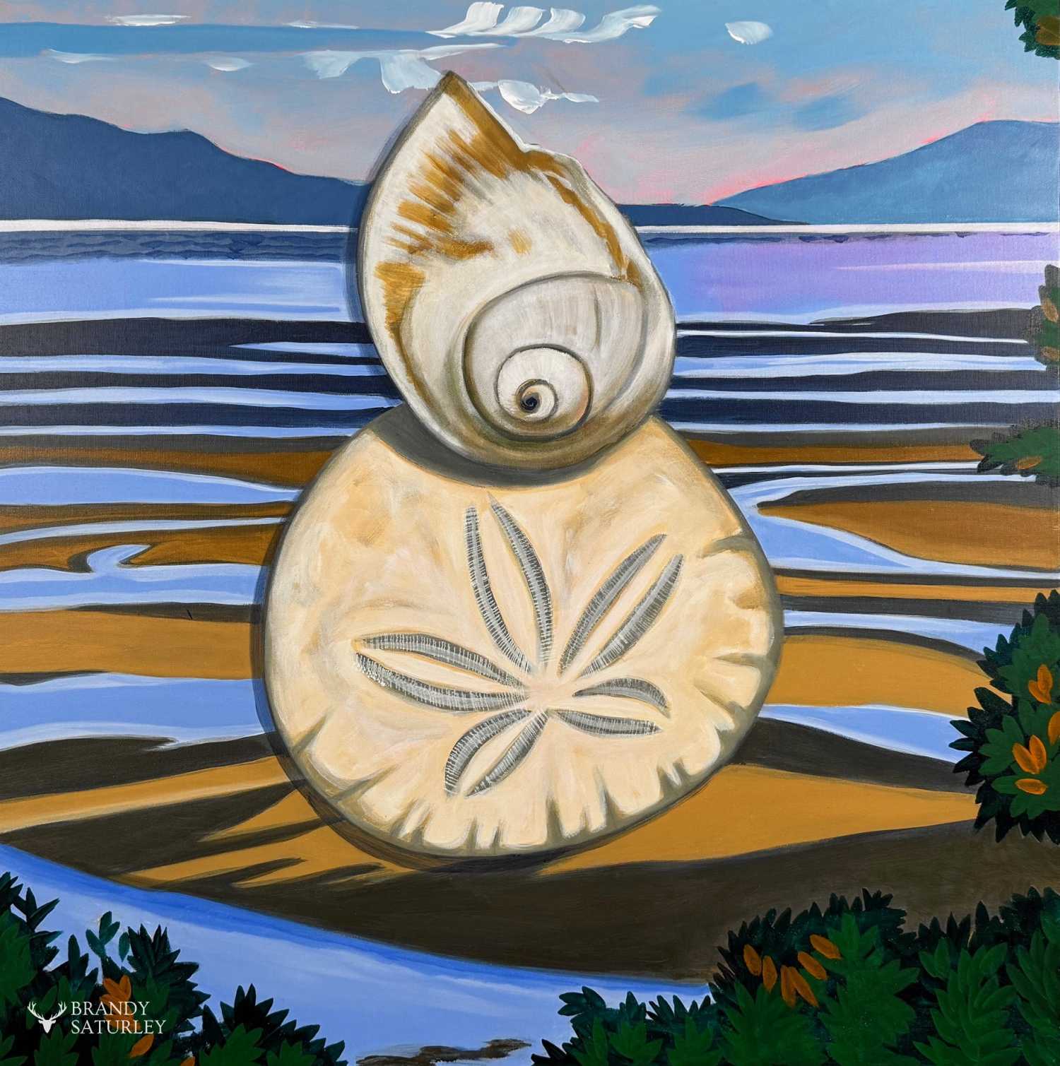 Still Life Shells Paintings