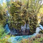 Little Qualicum Falls Beautiful Vancouver Island
