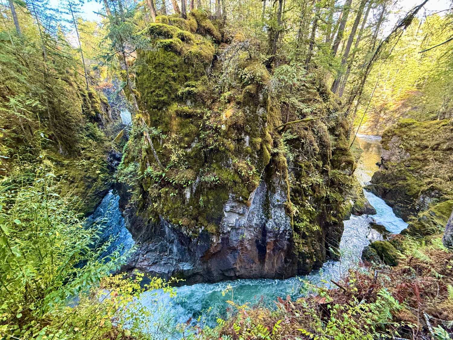 Beautiful Vancouver Island