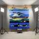 Painting The Salish Sea