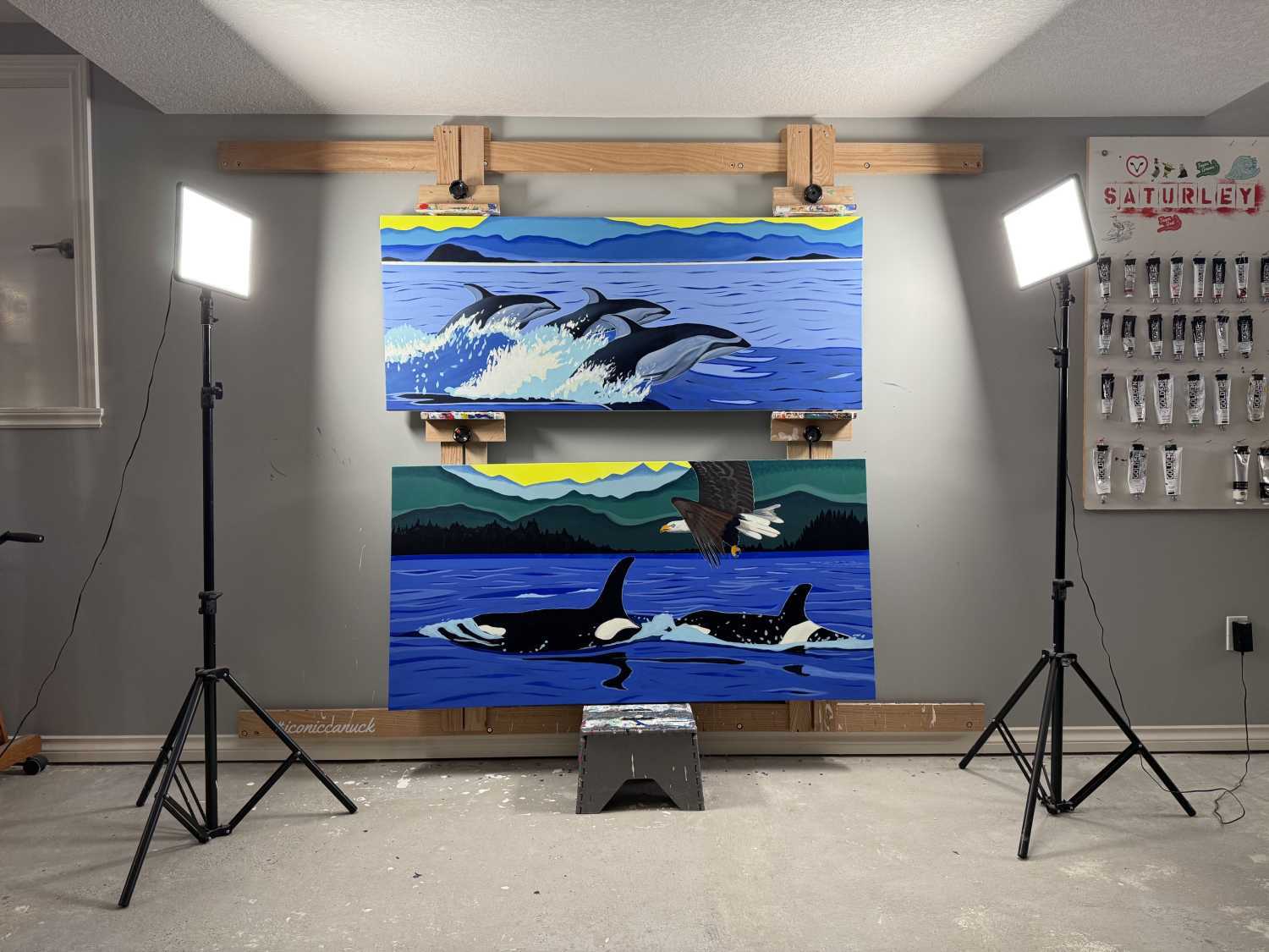 Painting The Salish Sea