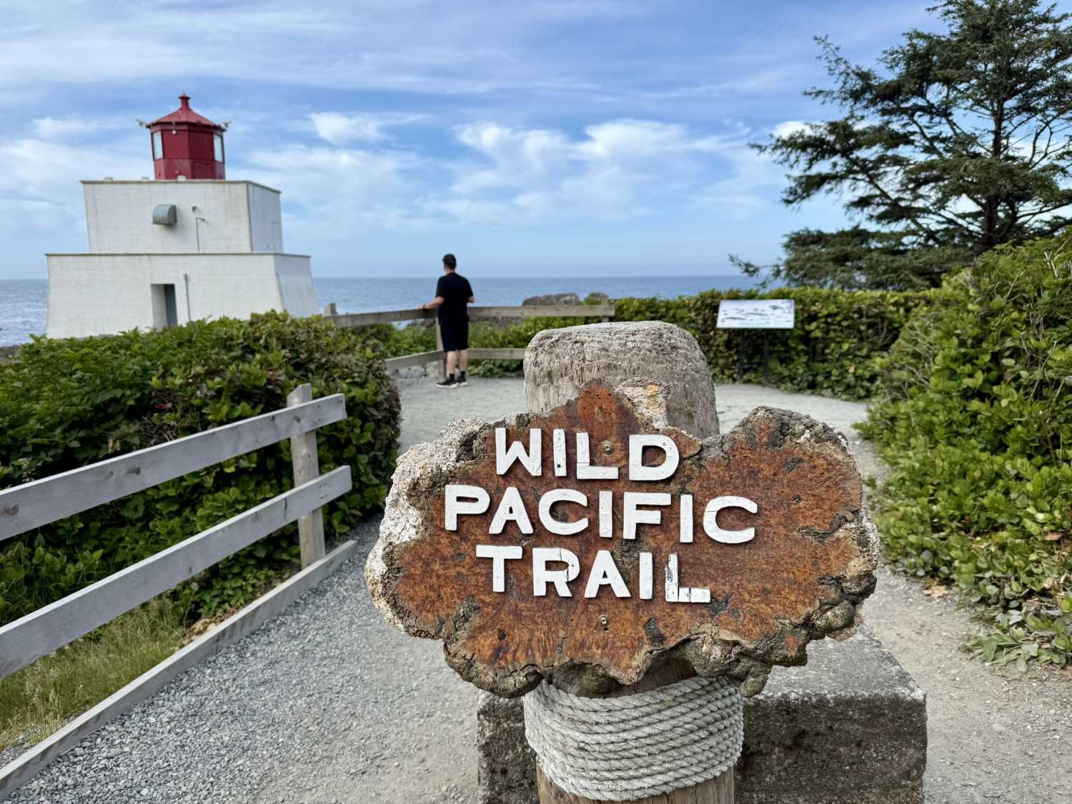 Ucluelet Inspires Artists