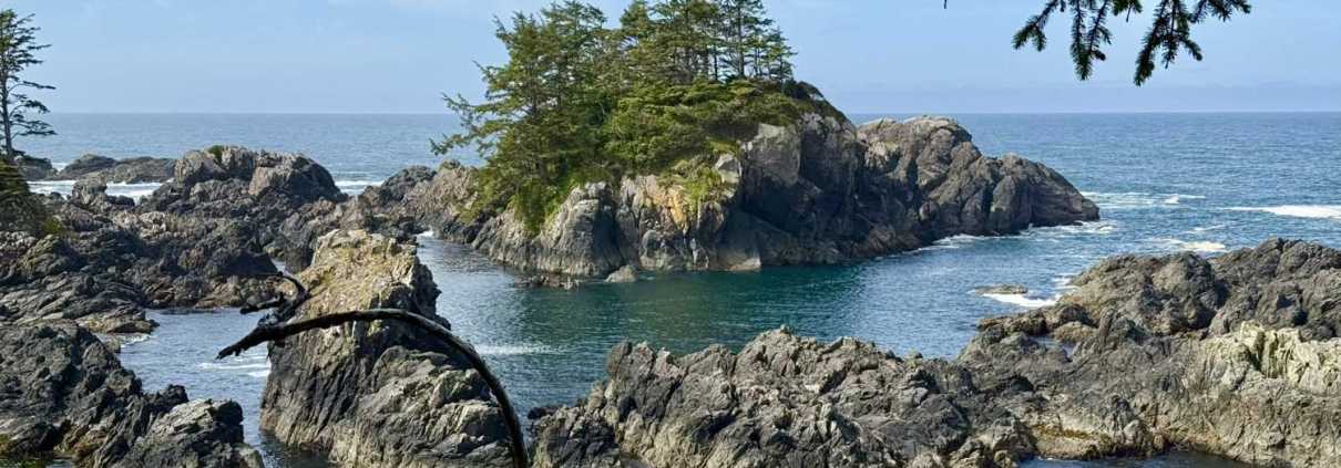 Ucluelet Inspires Artists