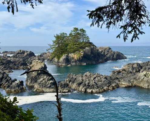 Ucluelet Inspires Artists