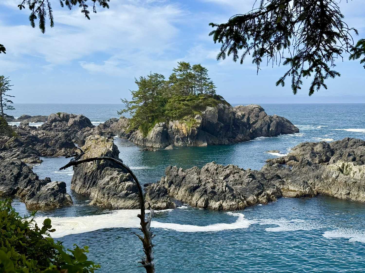 Ucluelet Inspires Artists