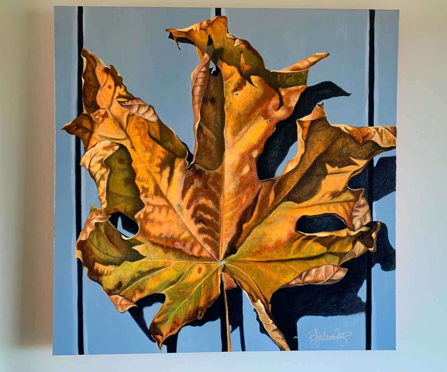 Canadian Maple Leaf Paintings