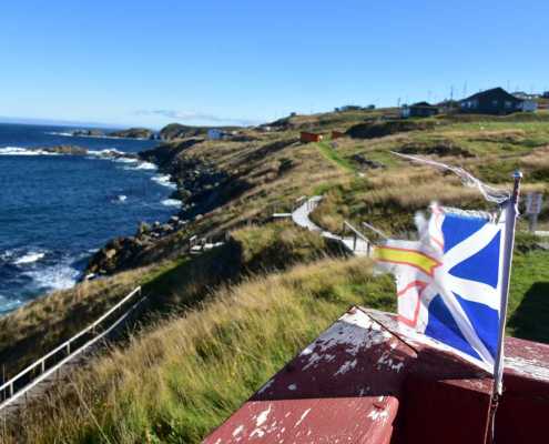 Newfoundland Inspires