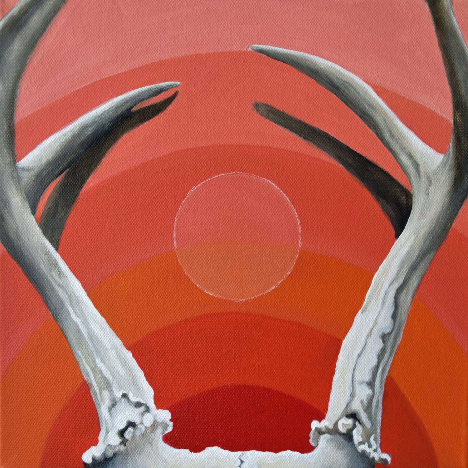 Skull and Bone Paintings